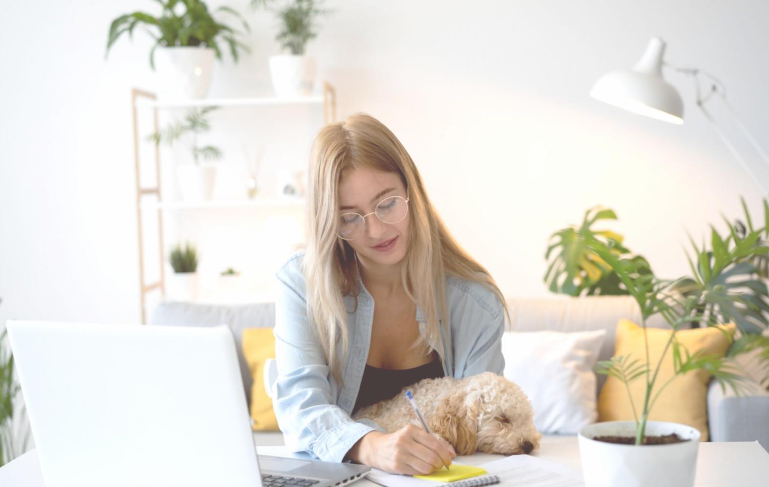 Geschäftsinhaber analysiert Finanzunterlagen und plant Cashflow-Strategien